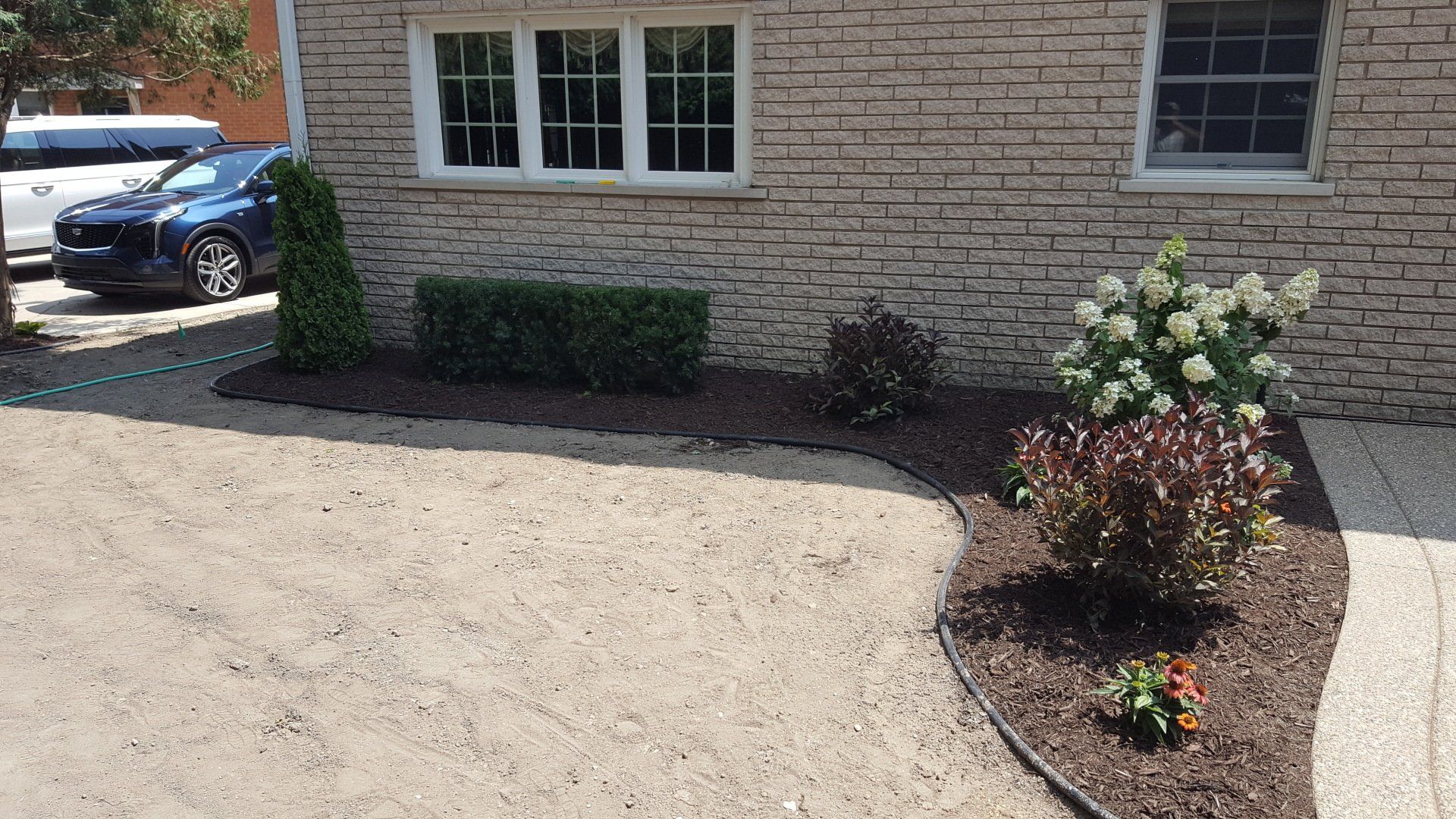 A gravel driveway curves in front of a brick house with landscaped garden beds featuring shrubs and white hydrangea bushes.