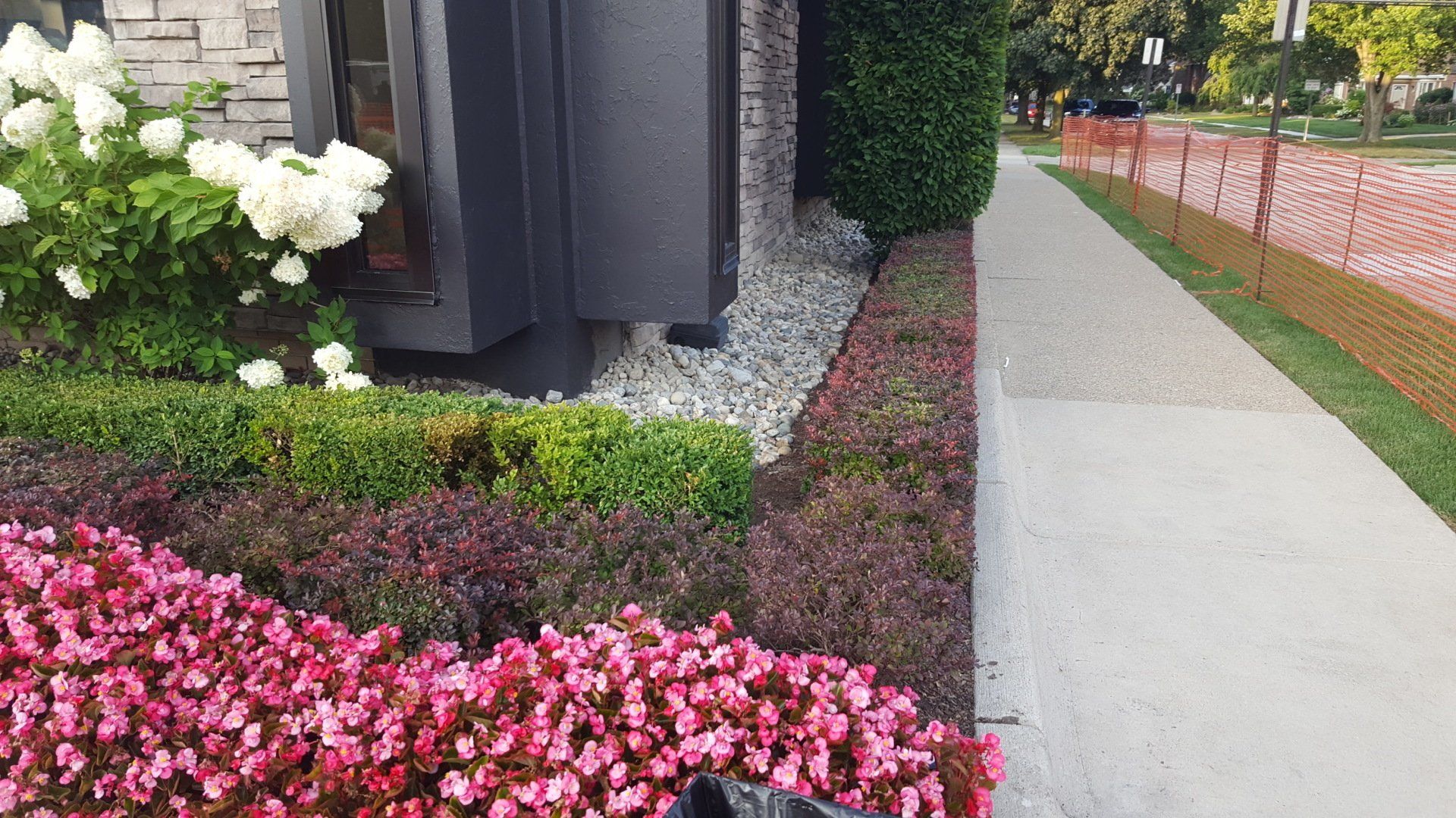 A garden bed with pink flowers and green shrubs sits beside a building with stone details and a sidewalk in the background.