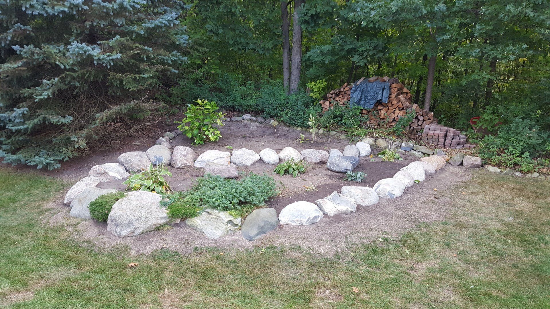 A small garden bed edged with light gray river rocks, containing small green plants, set in a grassy yard near woods.