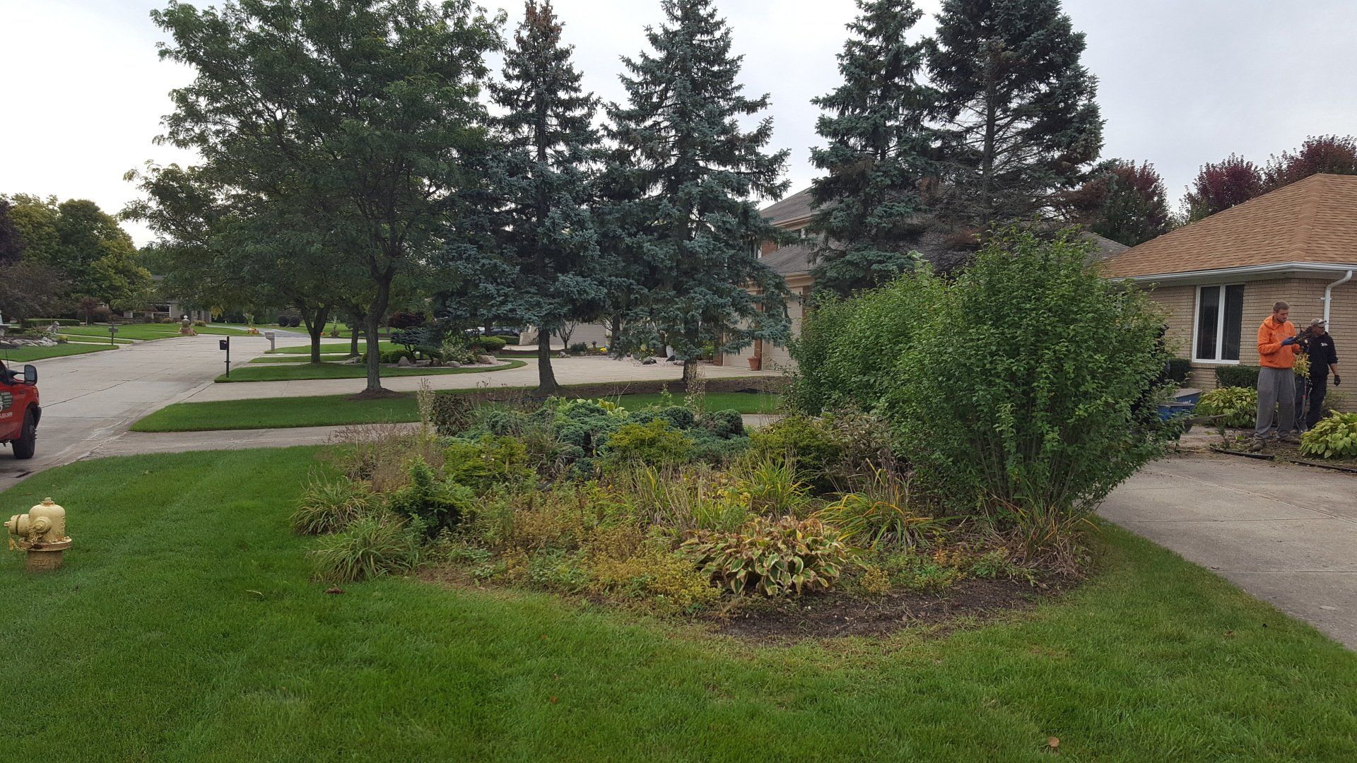 A front yard with a large central garden bed, pine trees, and a person standing near a house entrance.