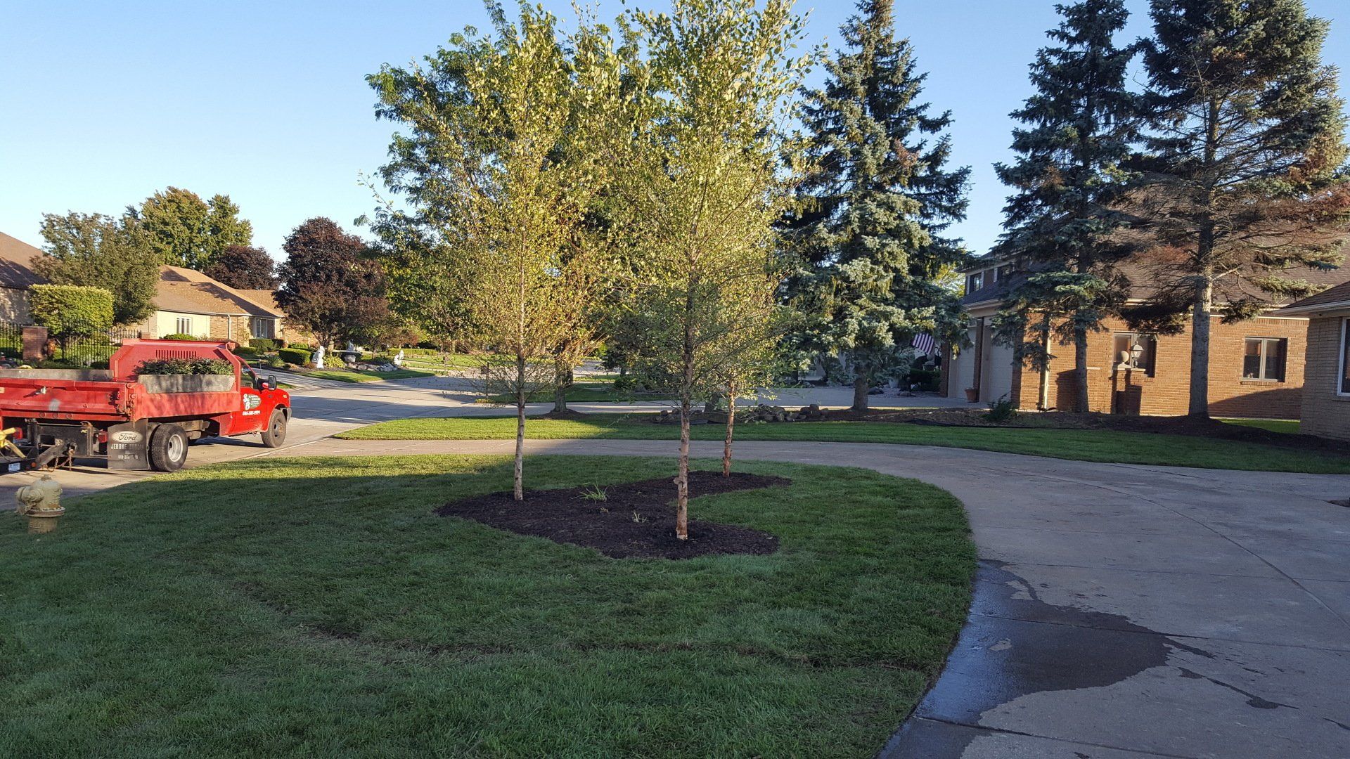 A red dump truck is parked on a suburban lawn near three young trees planted in a mulched island next to a driveway.