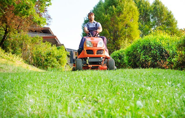 Gardener Driving a Lawn Mower — Roseville, MI — S & B Seasonal Services Gardener Driving a Lawn Mower — Roseville, MI — S & B Seasonal Services