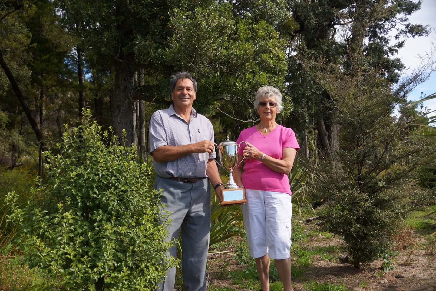 native bush restoration