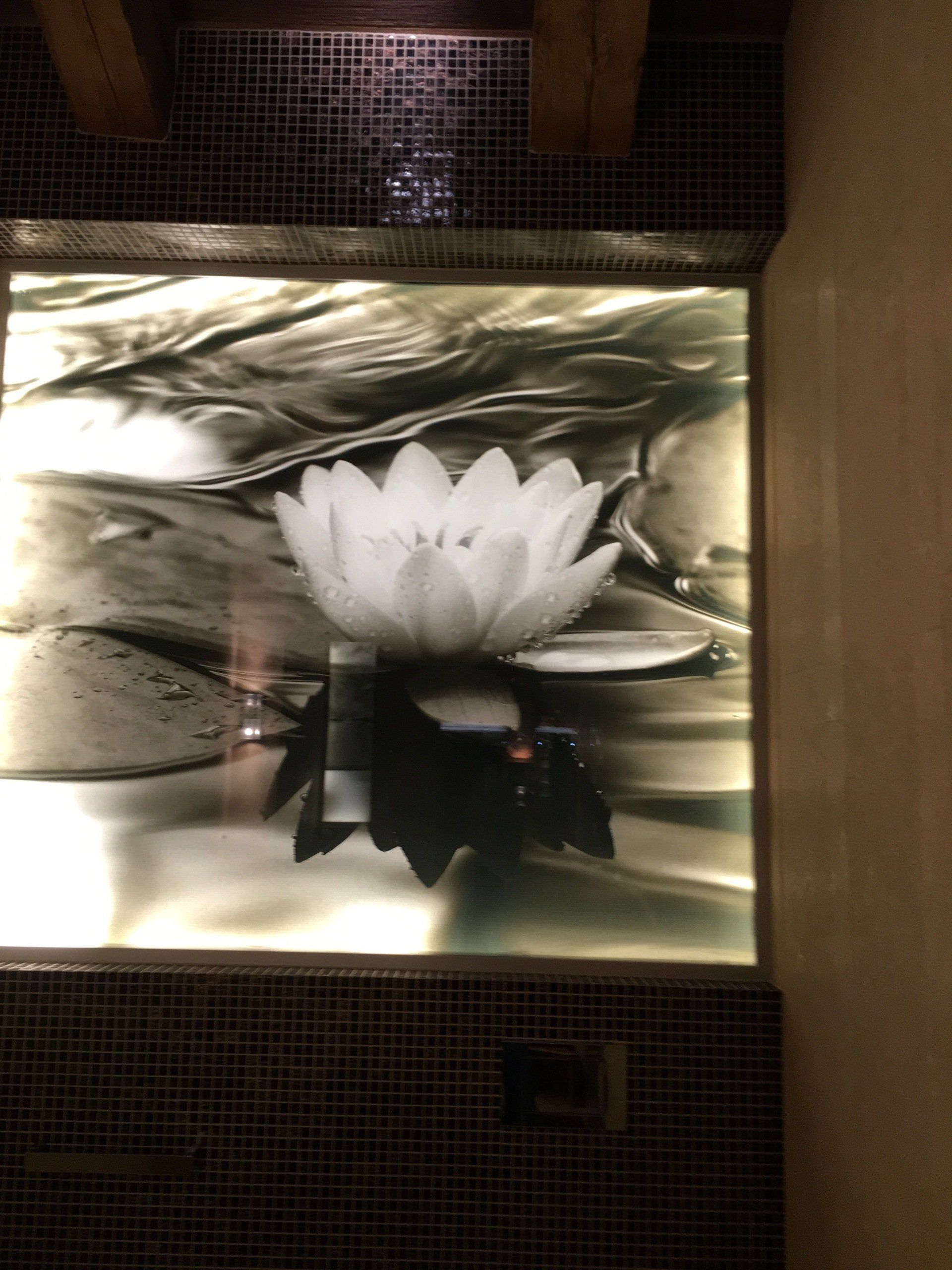 vitre teintée et décorée d'un lotus