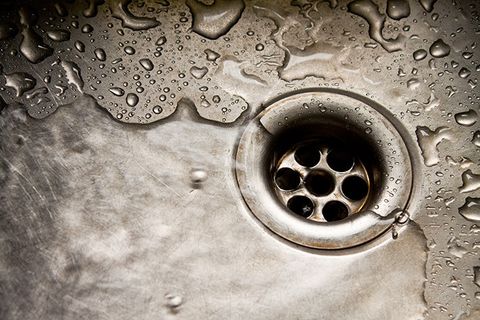 Drain cleaner in Wellington