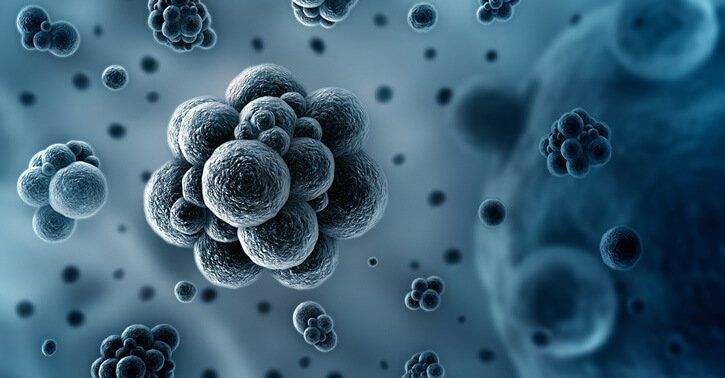 Microorganism — Fresno, CA — Art Douglas Plumbing Inc. Micro Organism — Fresno, CA — Art Douglas Plumbing Inc.