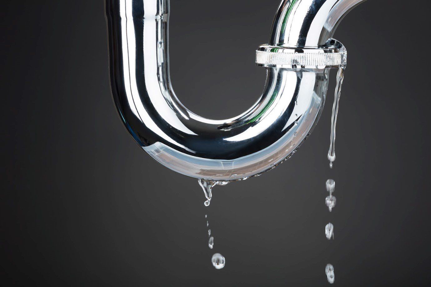 Plumbing Problems and Pests — Fresno, CA — Art Douglas Plumbing Inc. Plumbing Problems and Pests — Fresno, CA — Art Douglas Plumbing Inc.
