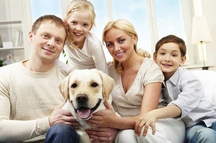 Individual Life Insurance — Peoria, IL — Chuck Harris Son Insurance Agency Inc.