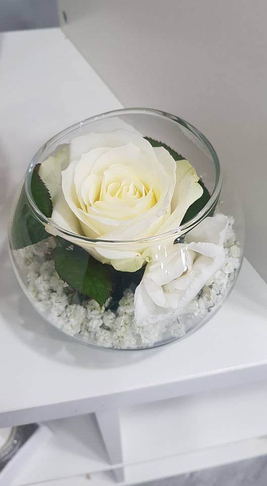 rosa bianca stabilizzata