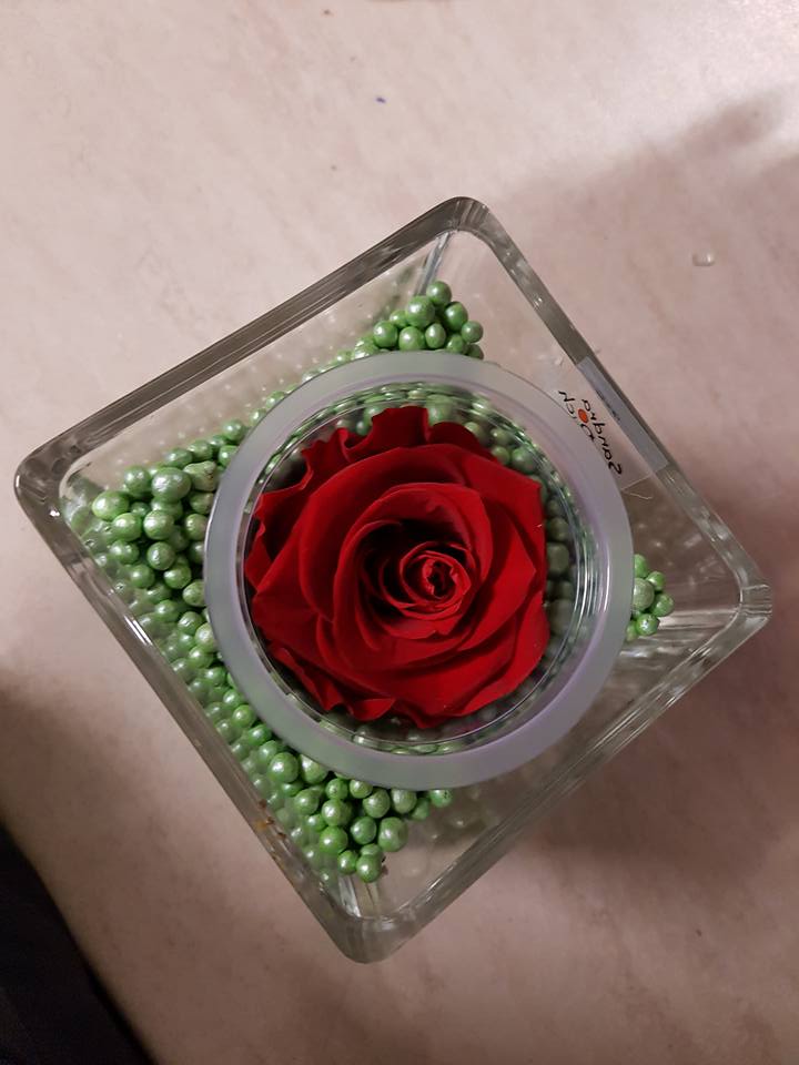 rosa rossa stabilizzata