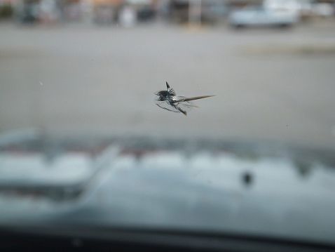 Windshield Chip Repair in Houston TX