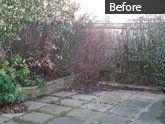 Garden maintenance before