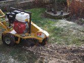 Stump Removal before