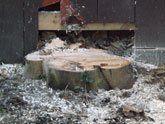 Stump Removal after