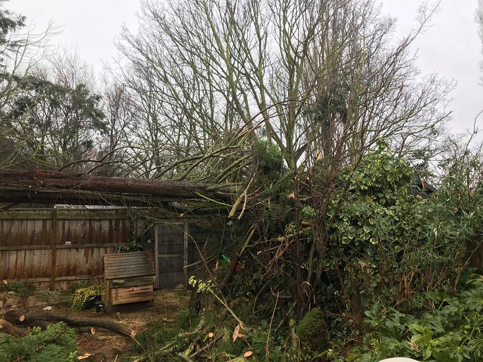 Our projects and services