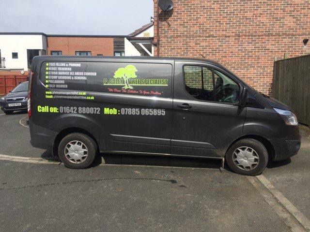 Our projects and services