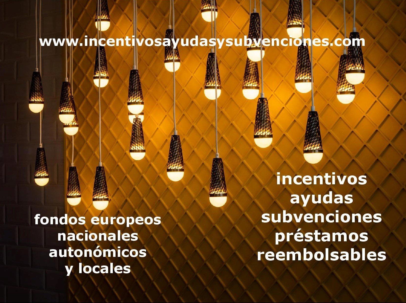 Acceder a la web sobre Incentivos, Ayudas y Subvenciones
