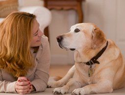 image-1115252-homeimg2_new.jpg