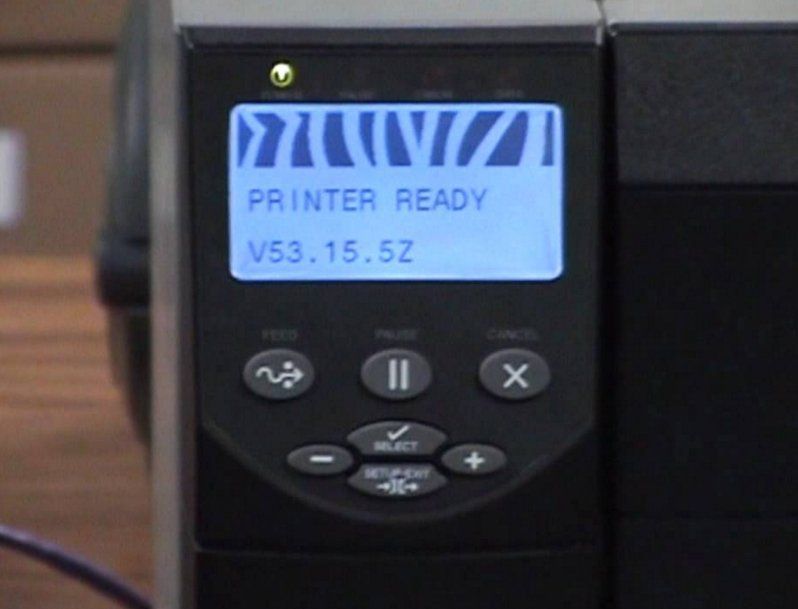 zebra pause test display