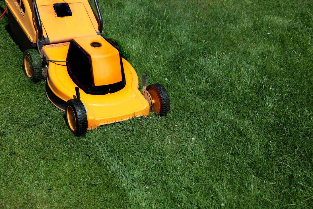 affordable lawn care service