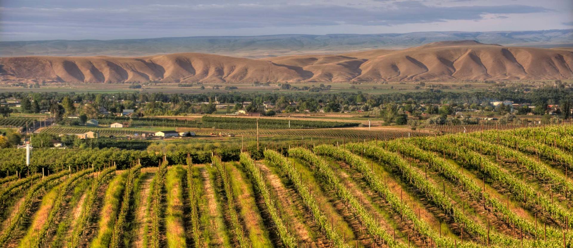 Yakima Wineries