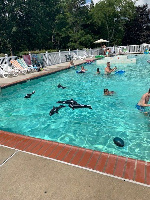 A group of people are swimming in a large swimming pool.