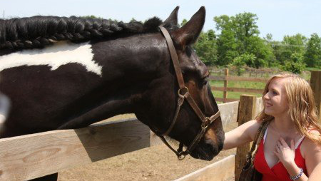 A woman petting a black and white horse behind a wooden fence