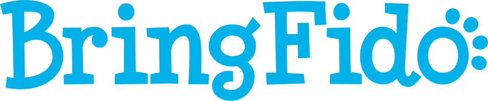 The word bring is in blue letters on a white background.