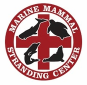 The logo for the marine mammal stranding center