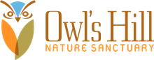 Logo of Owl's Hill Nature Sanctuary with an owl illustration in blue, orange, and green.