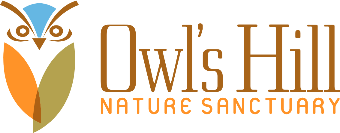 Logo of Owl's Hill Nature Sanctuary with an owl illustration in blue, orange, and green.