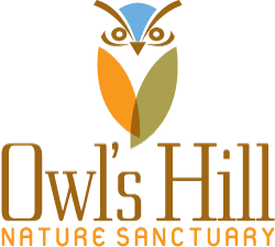 Logo for Owl's Hill Nature Sanctuary: stylized owl icon in orange, olive, and blue above text.