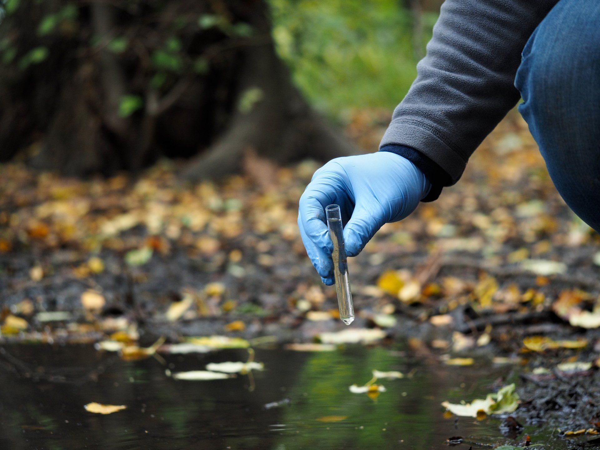 Soil Contamination — Water Sample in Portland, OR