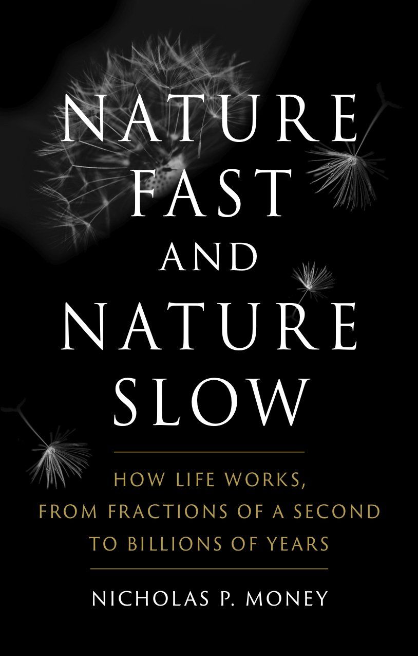 Nature Fast and Nature Slow