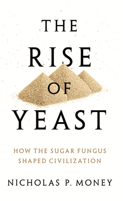 The Rise of Yeast
