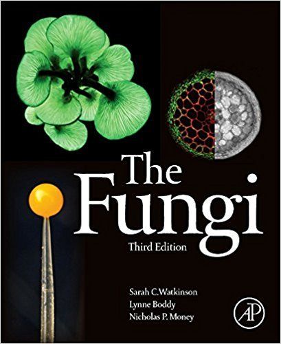 the fungi
