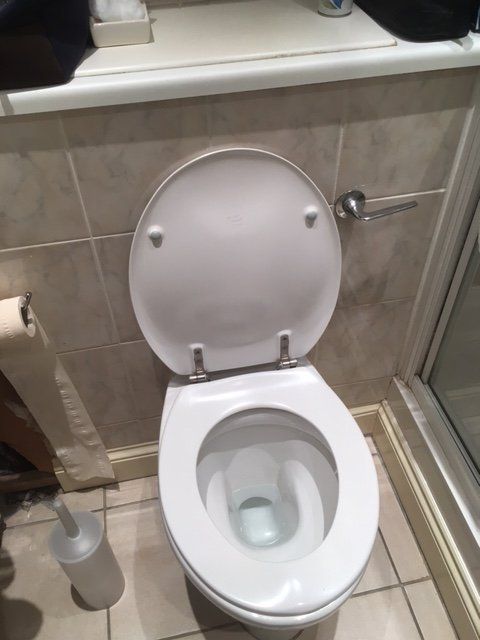 open toilet seat
