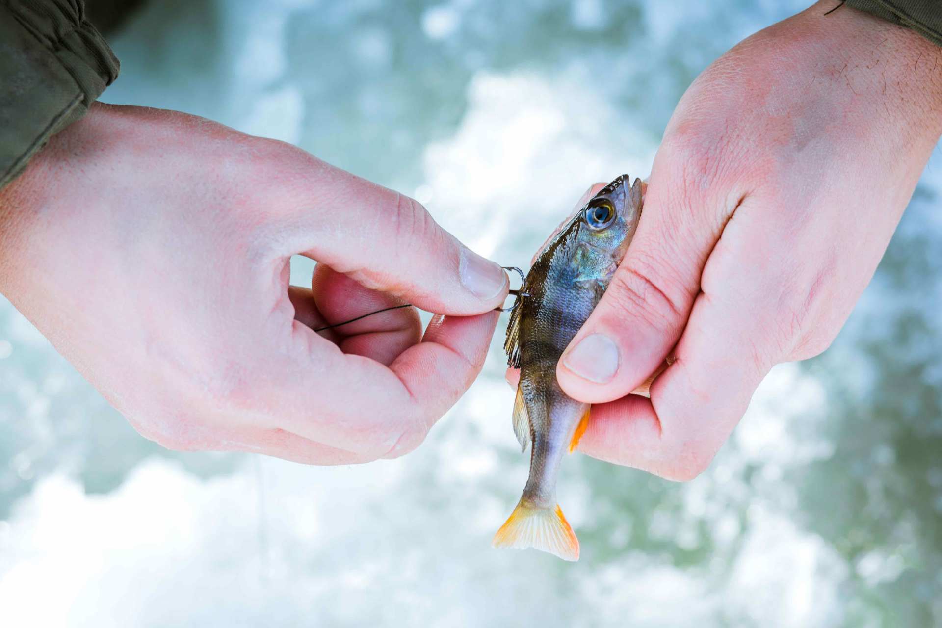 Fishing Accessories