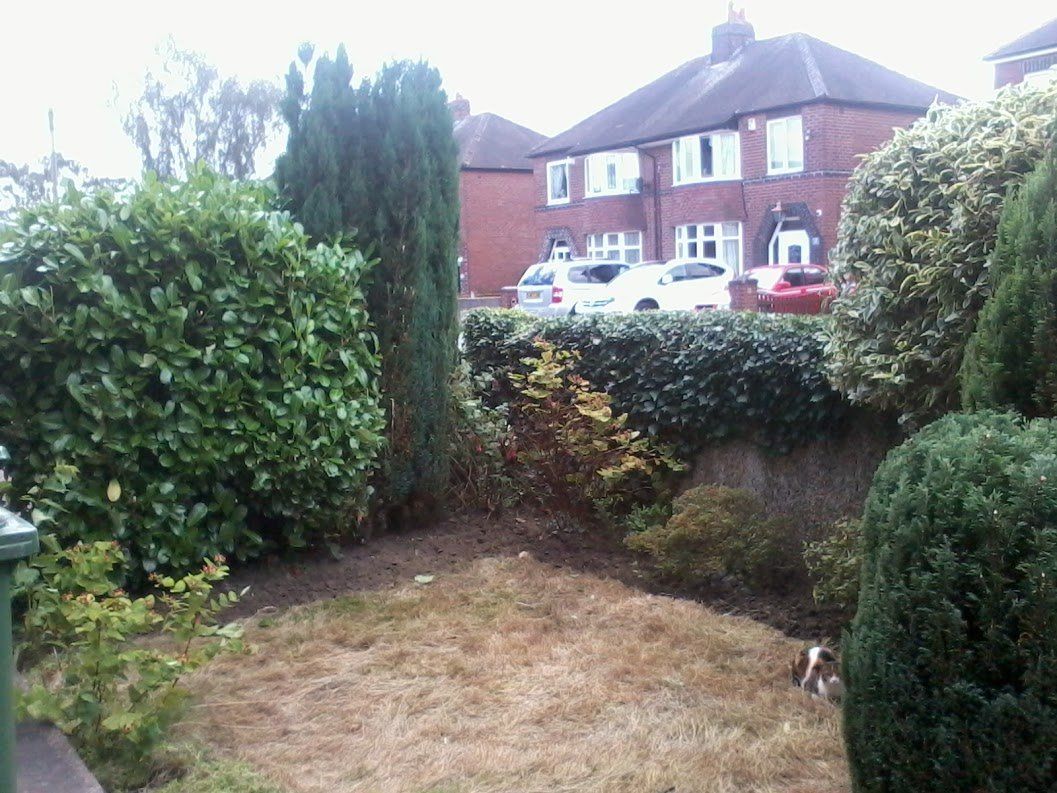 garden area