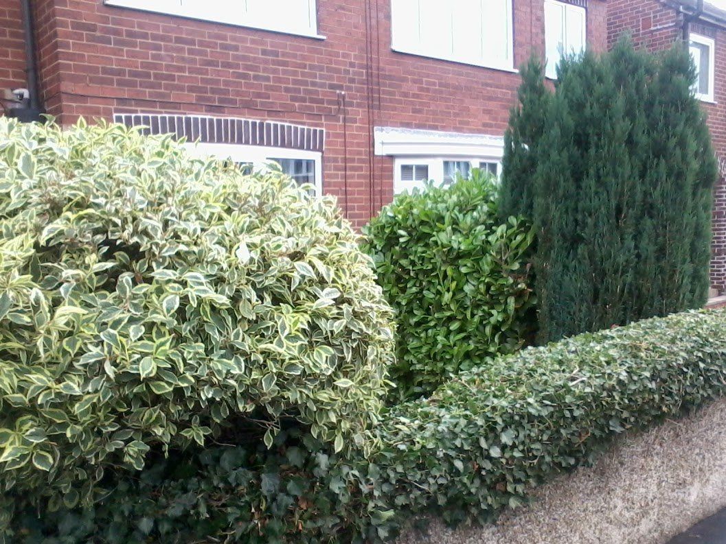 beautiful garden design