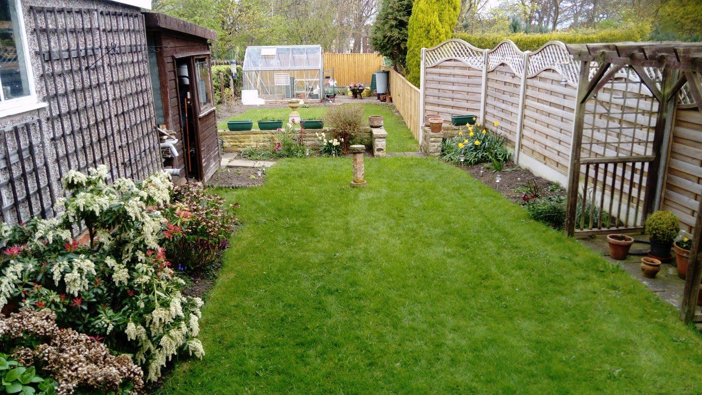 attractive lawn