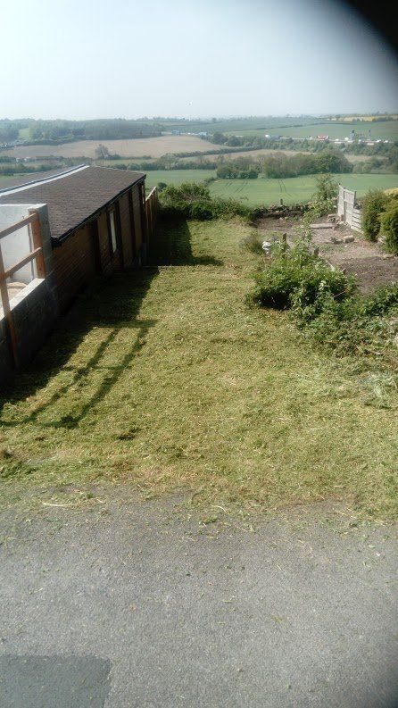 lawn before mowing