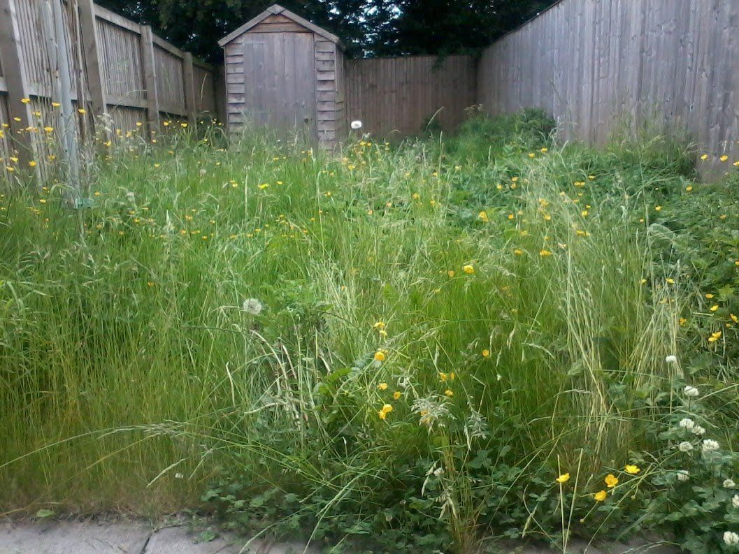 garden area before makeover