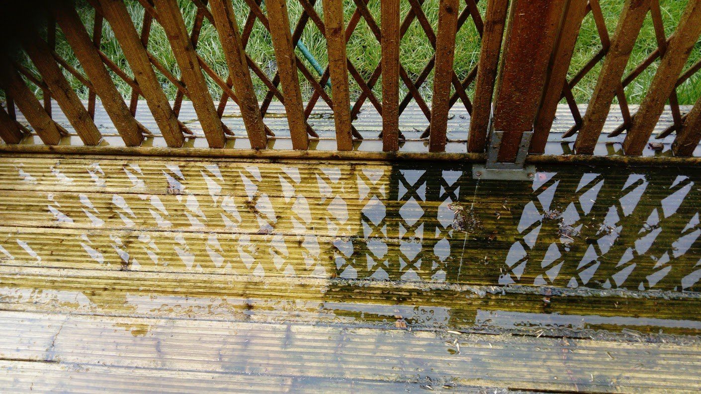 garden fence