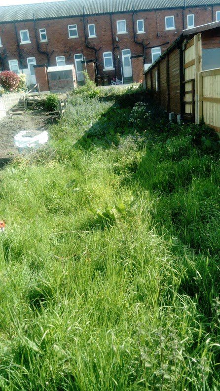 before hedging