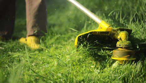 garden water spray