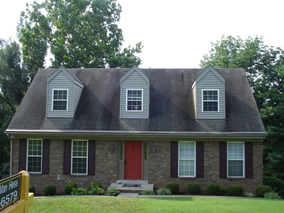 roof cleaning before