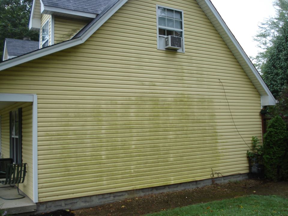 Siding Cleaning before