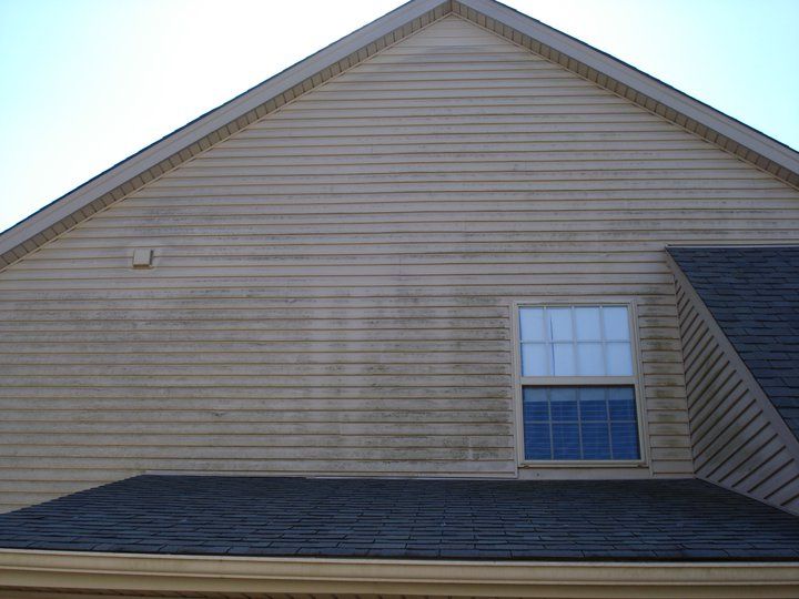 siding cleaning before