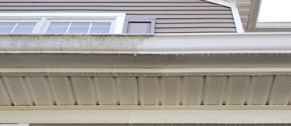 gutter cleaning in jeffersonville
